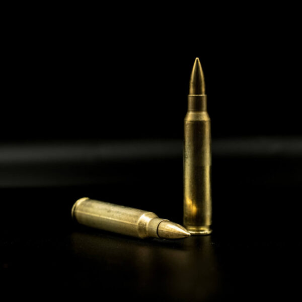 Spartan Ammo - 223 52gr Range Master