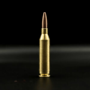 Spartan Ammo - .243 Win 85gr Premium hunter