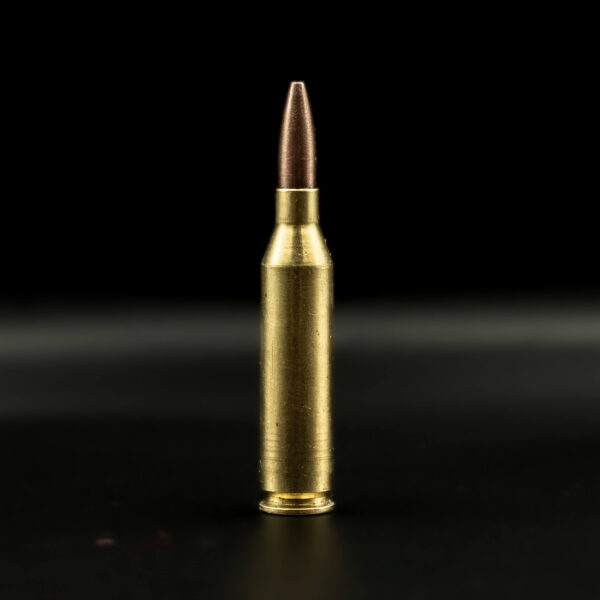 Spartan Ammo - .243 Win 85gr Premium hunter