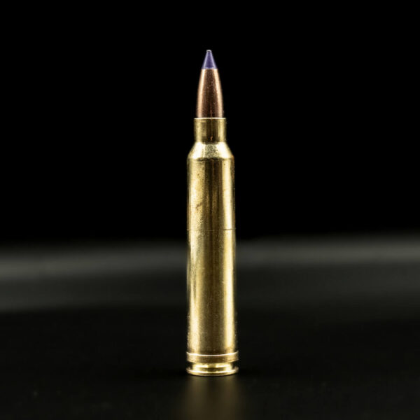Spartan Ammo - .300 Win Mag 185gr Ultimate hunter